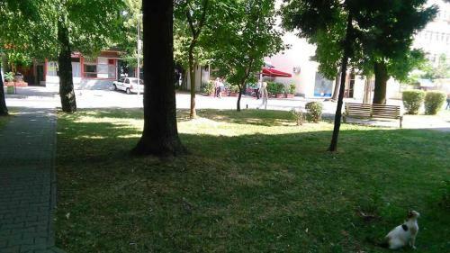 Apartamento Soba Centar