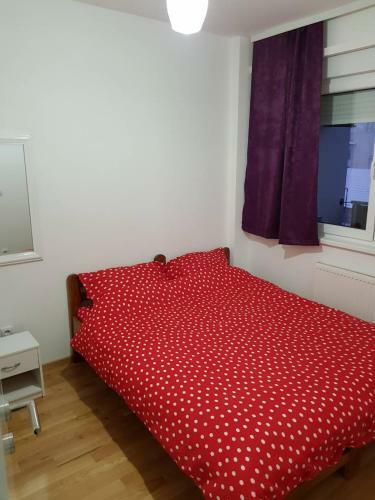 Modern Apartment