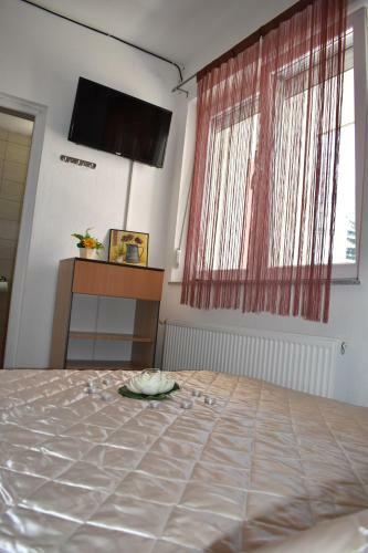 Hostel Omega