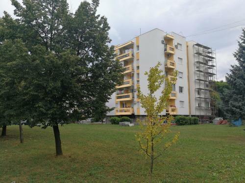 Apartman 49