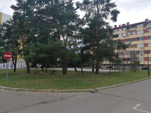 Apartman 49