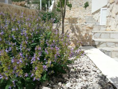 Apartamento Villa Bosna