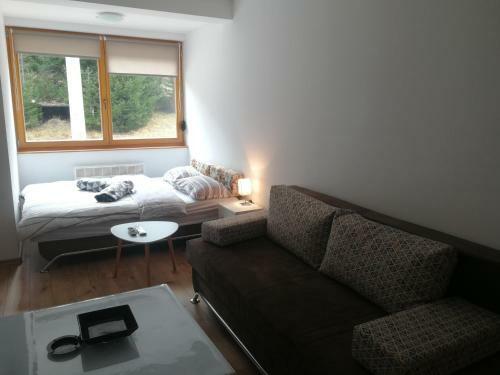 Studio Apartman Aras