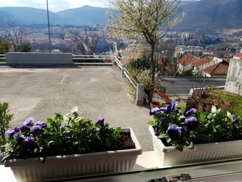 Apartment And Room Panorama