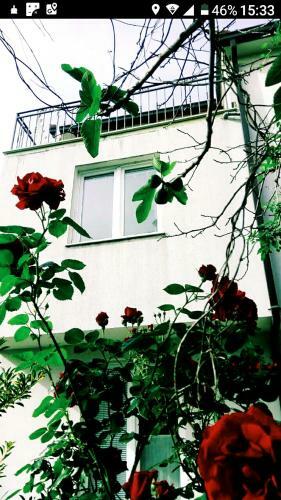 Apartamento Geko