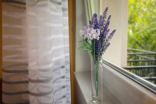Hostal Villa Odobasic Rooms
