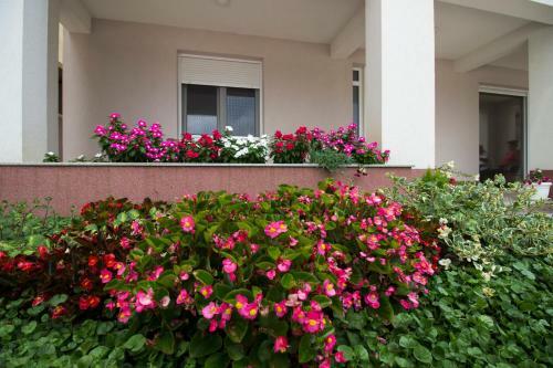 Bed & Breakfast Villa Bojcic