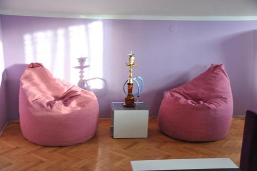 Apartment Radojkovic