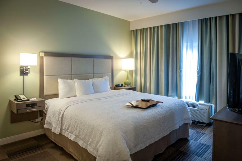 Hotel Hampton Inn & Suites New Orleans-elmwood