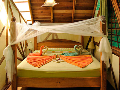 Hotel Tree House Lodge