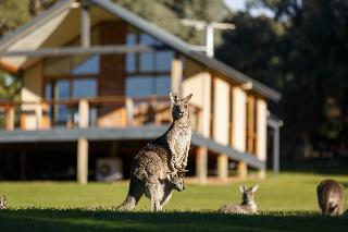 Hotel Yering Gorge Cottages