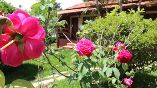Hostal Pousada Villa Serena