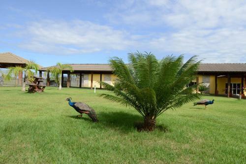Hostal Pousada Haras Santa Rita