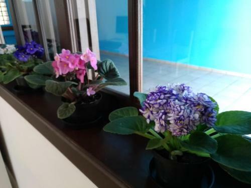 Hostel Villa Pomer�nia