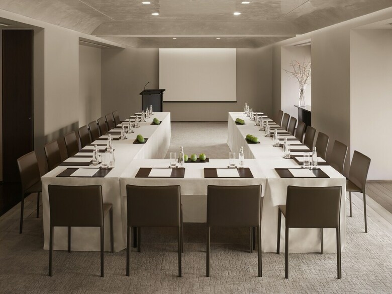Hotel Hyatt Centric Levent Istanbul