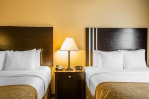 Hotel Comfort Suites