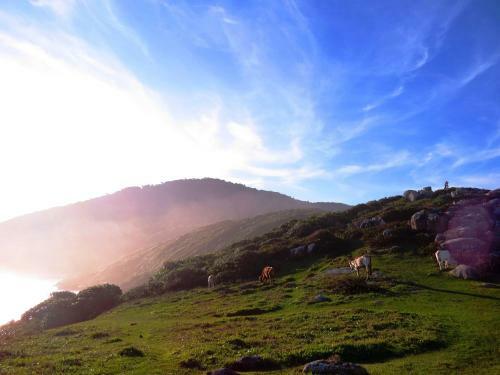 Bed & Breakfast Morada F�nix