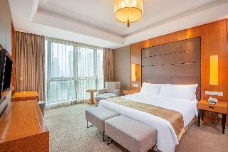 Hotel Holiday Inn Hangzhou Cbd