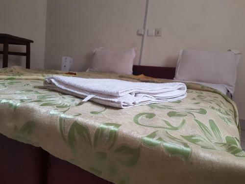 Hotel Lion D'or