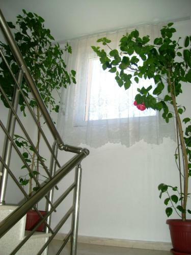 Hostal Guest House Jumbo