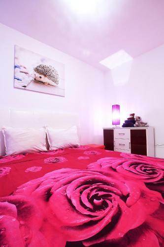 Apartamento Minismart Complex Rainbow Garden And Jacuzzi
