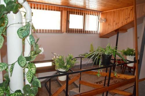 Hostal Guest Rooms Didi
