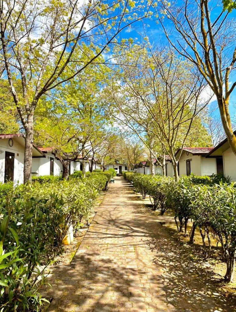 Happy Village & Camping
