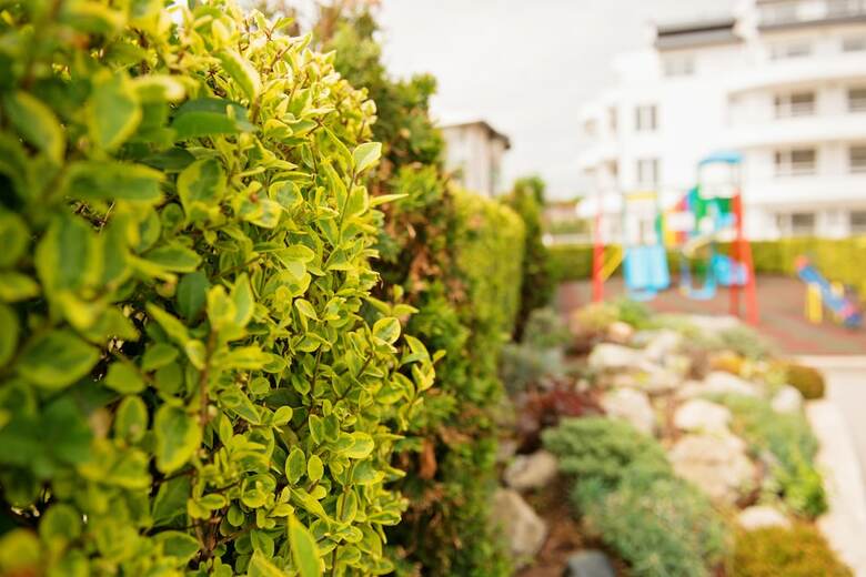Family Hotel Adena