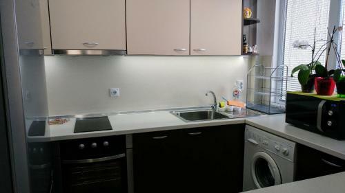 Single Apartment Elit