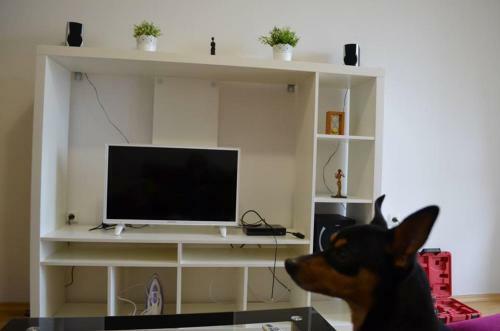 Apartamento Studio In Sunny Island Complex