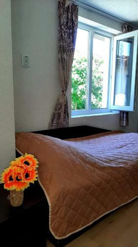 Hostal ???? ?? ????? "??????"