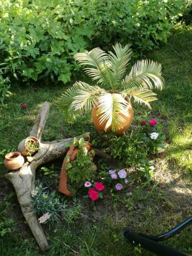 Hostal Guest House Baltadzhievi