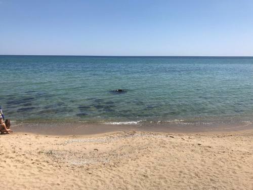 Pearl Beach Apartments In The Cliff Resort