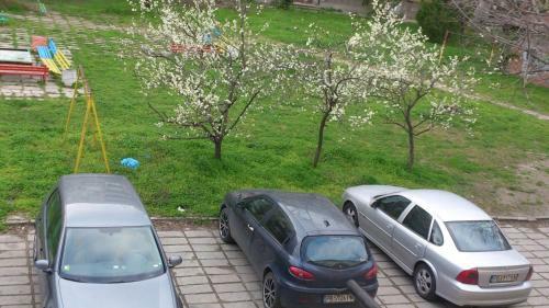 Apartament Bravo