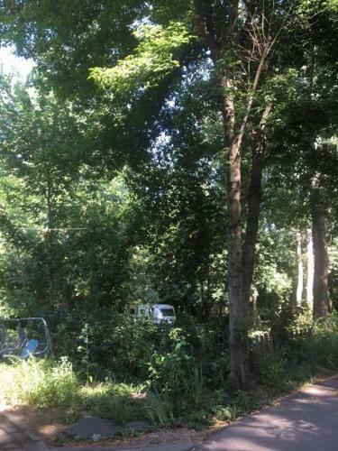 Camping Trakiya 4 Km.