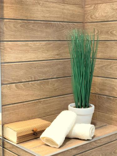 Luxury Apartments Plovdiv 4