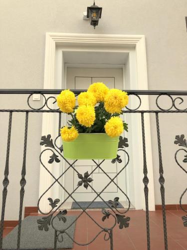 Luxury Apartments Plovdiv 4