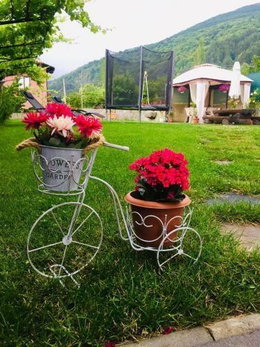Hostal Villa Murite