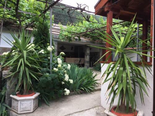 Hostal Guest House Mariela