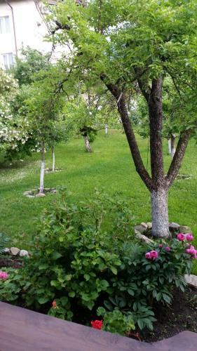 Hostal Villa Etno