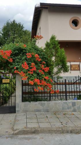 Hostal Villa Etno