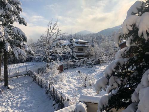 Hostal Guest House Alina