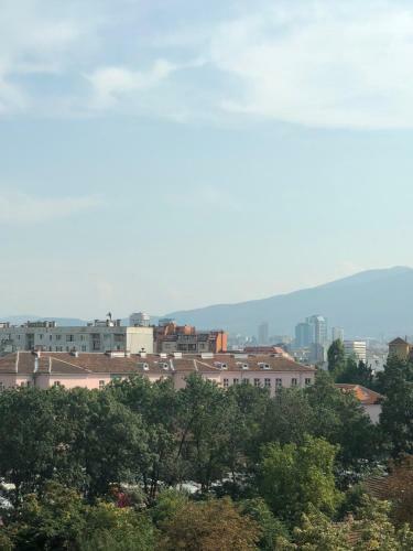 Apartment "south View"