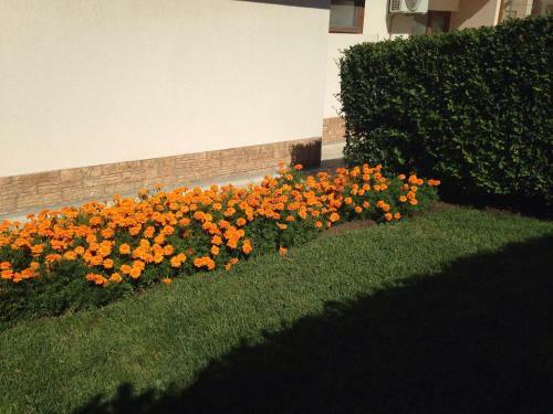 Sunrise Two-bedroom Apartment