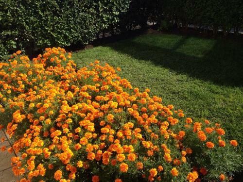 Sunrise Two-bedroom Apartment