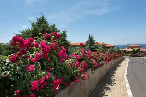 Apartamento Rodina 1