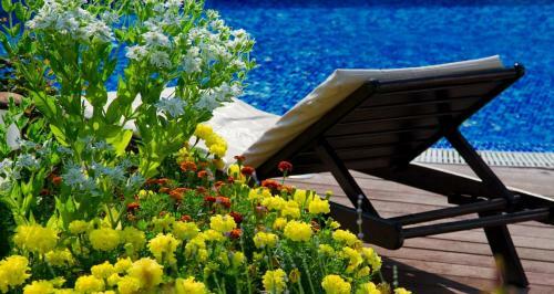 Garden Of Eden Apartments