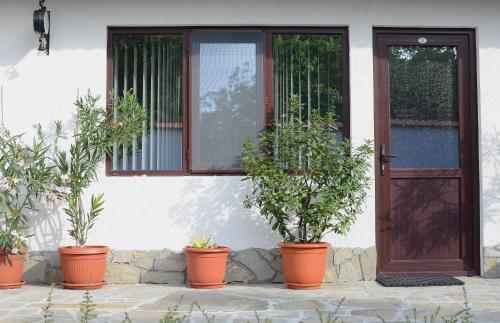 Hostal Guest House Dar