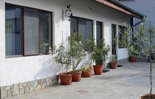 Hostal Guest House Dar