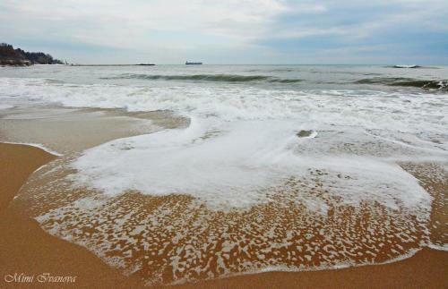 Aneta's Seaside Apartment